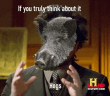 a man in a suit and tie has a picture of a boar on his face and the caption if you truly think about it hogs