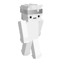 a white minecraft skin with a sad face and glasses .