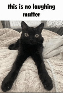 a black cat is laying on its back on a bed .