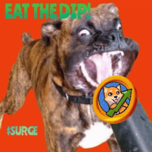 a picture of a dog with the words eat the dip surge