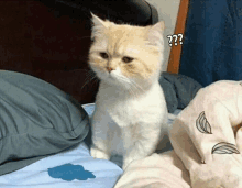 a cat is sitting on a bed with a question mark on its face