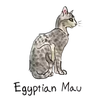 a drawing of an egyptian mau cat sitting on a white background