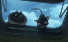 two black cats are looking out of a window with a blue sky in the background