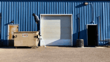 a man stands on a ladder next to a dumpster with a sign that says ' s & t '