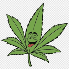 a marijuana leaf with a smiling face and tongue sticking out .