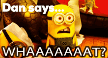 a picture of a minion with the words dan says whaaaaat