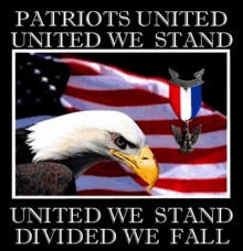 a bald eagle stands in front of an american flag with the words patriots united united we stand united we stand divided we fall