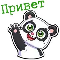 a sticker of a panda bear with green eyes and the word привет on it