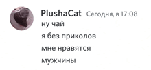 a picture of a cat with the name plushacat written on it