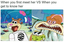 spongebob and sandy cheeks from spongebob squarepants are shown in a meme