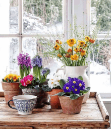 a table with potted plants and a pitcher of flowers