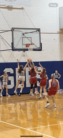 a basketball game is being played in a gym with the word crop on the bottom right