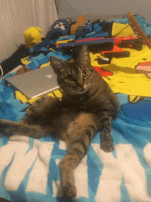 a cat laying on a bed next to a laptop and a gun