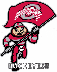 a mascot for the ohio state buckeyes holding a red flag