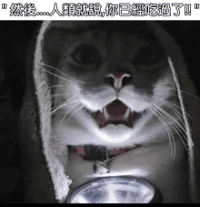 a cat is holding a flashlight in its mouth with chinese writing on the bottom .