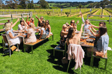 a group of women are sitting at a table in a field toasting