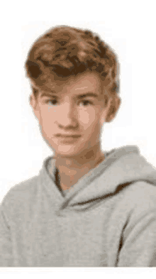 a young man wearing a gray hoodie is looking at the camera .