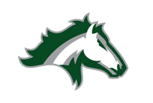 a green and white horse 's head with a long mane