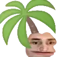 a man 's head with a palm tree on it .