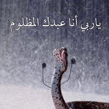 a picture of a snake wearing headphones with arabic writing