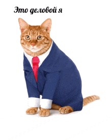 a cat dressed in a suit and tie with the words " это деловой я " written below it