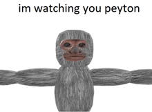 a picture of a monkey with the words im watching you peyton