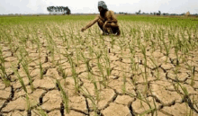 a man is kneeling in a field of dry grass and dirt .