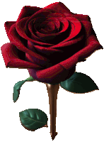 a red rose with green leaves and a stem