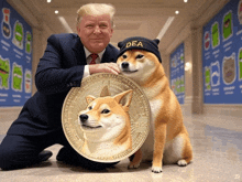 a man wearing a dea hat kneeling next to a doge