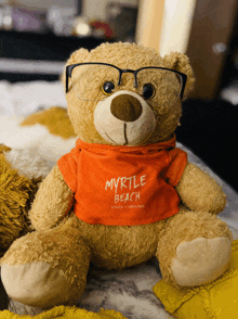 a teddy bear wearing glasses and an orange shirt that says myrtle beach south carolina