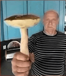 a man in a striped shirt is holding a mushroom in his hand .