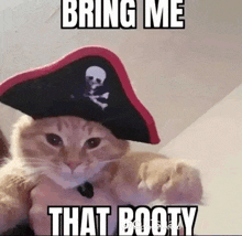 a cat wearing a pirate hat with the words bring me that booty