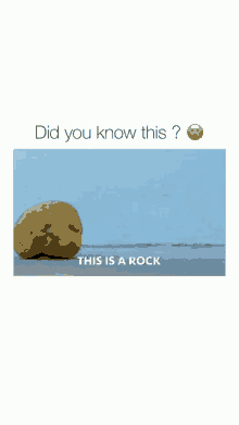 a picture of a potato that says did you know this