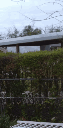 a bird sits on a bench in front of a fence and a house