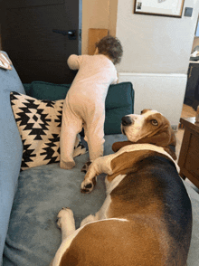 a baby standing next to a dog laying on a couch