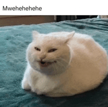 a white cat is sitting on a bed with its mouth open and the caption mwehehe