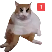 an orange and white cat with a red square with the number 1