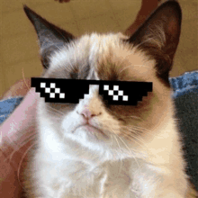 a grumpy cat wearing sunglasses with a pixelated face