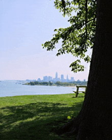 a picnic table in a park with a view of the city skyline