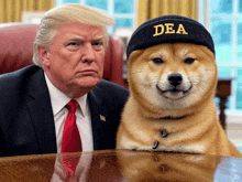 a dog wearing a dea hat sitting next to donald trump