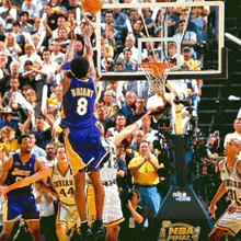 a basketball player wearing a number 8 jersey jumps in the air