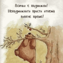 a bear is hanging from a tree branch with a quote in a foreign language .