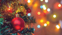 a red ornament hangs from a christmas tree with lights in the background