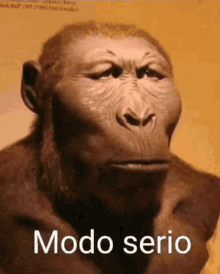 a picture of a gorilla with the words modo serio on the bottom right