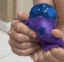 a close up of a person holding a purple and blue toy in their hands .