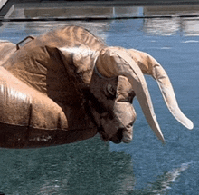 a stuffed bull with long horns is floating in the water