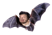 a bat with a man 's face sticking out of it