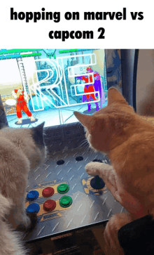 two cats are playing a video game that says ' hopping on marvel vs capcom 2 '