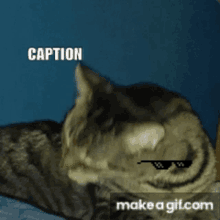 a cat wearing sunglasses with caption make a gif.com underneath it