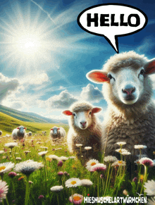 a group of sheep standing in a field with a hello speech bubble above them